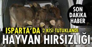 MEZBAHANE İŞÇİLERİ HAYVAN HIRSIZLIĞINDAN YAKALANDI