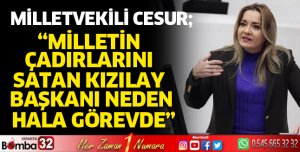 Milletin çadırlarını satan kızılay başkanı neden hala görevde