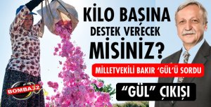 MİLLETVEKİLİ BAKIR'DAN GÜL ÇIKIŞI!
