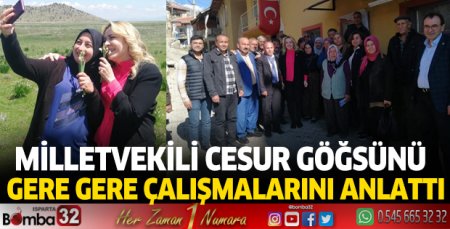 Milletvekili Cesur çalışmalarını anlattı