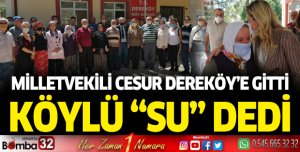 Milletvekili Cesur Dereköy’e Gitti, Köylü Su Dedi