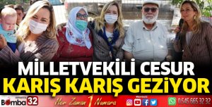 Milletvekili Cesur karış karış geziyor