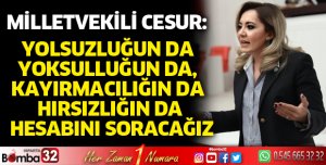 Milletvekili Cesur mecliste konuştu