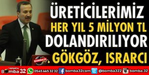 MİLLETVEKİLİ GÖKGÖZ MEYVEBİRLİK KONUSUNDA ISRARCI