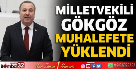 Milletvekili Gökgöz muhalefete yüklendi