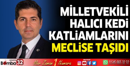 Milletvekili Halıcı kedi katliamlarını meclise taşıdı