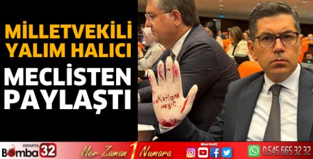 Milletvekili Halıcı meclisten paylaşım yaptı