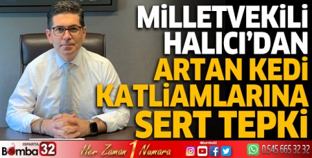 Milletvekili Halıcı’dan kedi katliamlarına sert tepki