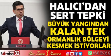 Milletvekili Halıcı'dan sert tepki