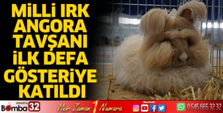 Milli Irk Angora Tavşanı Türkiye’de ilk defa gösteriye katıldı