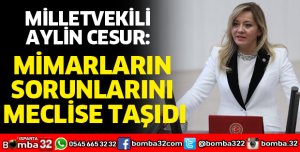 MİMARLARIN SORUNLARINI MECLİSE TAŞIDI