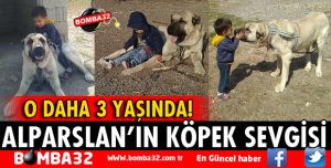 MİNİK ALPARSLAN'IN KÖPEK SEVGİSİ