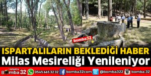 MİLAS MESİRELİĞİ YENİLENİYOR
