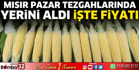 Mısır Pazar tezgahlarında yerini aldı