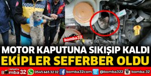 MOTOR KAPUTUNA SIKIŞAN KEDİYİ İTFAİYE EKİPLERİ KURTARDI