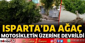 Motosikletin üzerine ağaç devrildi