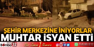 Muhtar isyan etti