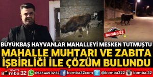 MUHTAR VE ZABITA İŞBİRLİĞİNDE ÇÖZÜM BULUNDU