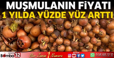Muşmulanın fiyatı 1 yılda yüzde yüz arttı 
