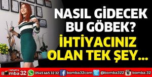 NASIL GİDECEK BU GÖBEK