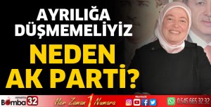 Neden AK Parti?