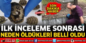 NEDEN ÖLDÜKLERİ BELLİ OLDU