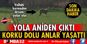 O İLÇEDE KORKU DOLU ANLAR YAŞATTI