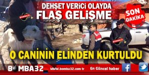O KÖPEK KORUMA ALTINA ALINDI