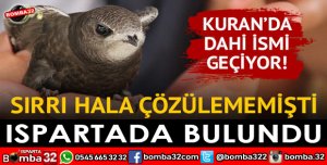 O KUŞ ISPARTA’DA BULUNDU