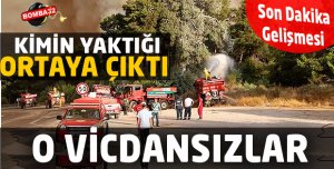 O VİCDANSIZLAR YAKMIŞ 
