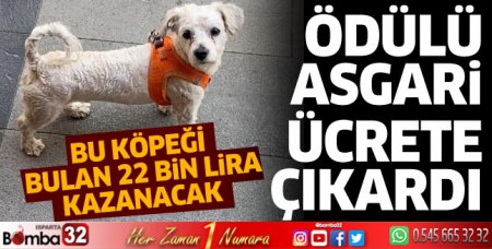 Ödülü asgari ücrete çıkardı