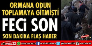 ODUN TOPLAMAYA GİDEN KİŞİ ÖLÜ BULUNDU 