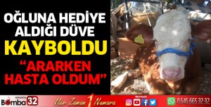 Oğluna hediye aldığı düve kayboldu