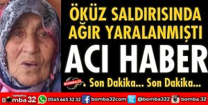 ÖKÜZ SALDIRISINDA AĞIR YARALANAN KADIN YAŞAMINI YİTİRDİ