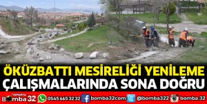 Öküzbattı Mesireliğinde sona gelindi