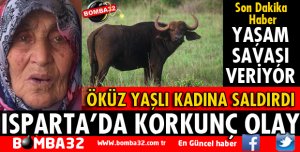 ÖKÜZÜN SALDIRDIĞI YAŞLI KADIN YAŞAM SAVAŞI VERİYOR
