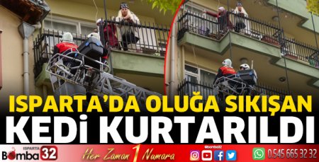Oluğa sıkışan kedi kurtarıldı 