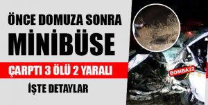 Önce Domuza Sonra Minibüse Çarptı 3 Ölü 2 Yaralı