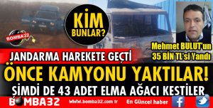 ÖNCE KAMYONU YAKTILAR ŞİMDİ 43 ELMA AĞACINI KESTİLER