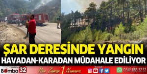 Önce tır alev aldı, sonra orman yanmaya başladı