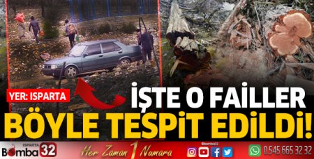 Orman failleri böyle tespit edildi