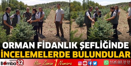 Orman Fidanlık Şefliğinde incelemelerde bulundular