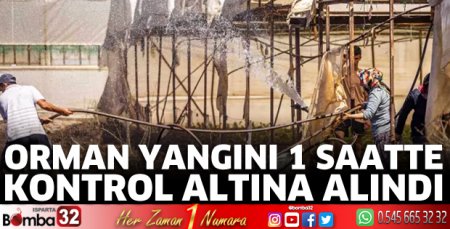 Orman yangını 1 saatte kontrol altına alındı