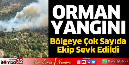 Orman yangını
