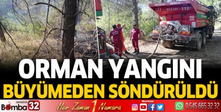 Orman yangını büyümeden söndürüldü