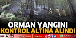 Orman yangını kontrol altına alındı