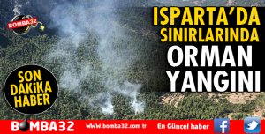 ORMAN YANGINI SON DAKİKA 