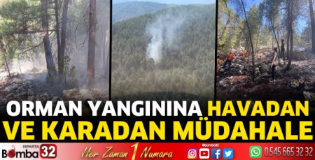 Orman yangınına havadan ve karadan müdahale