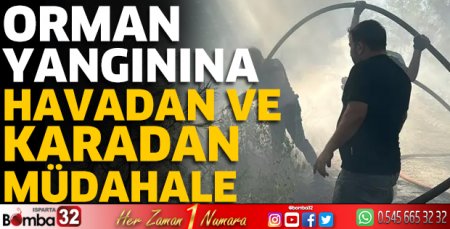 Orman yangınına havadan ve karadan müdahale