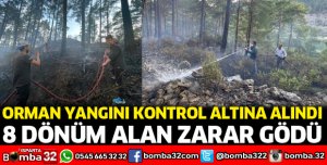 Orman yangınında 8 dönüm alan zarar gördü